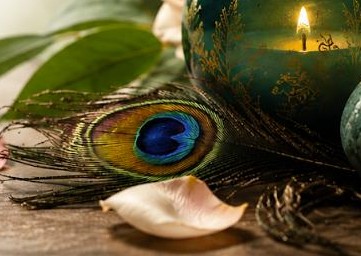 Plume de paon posée près d'une bougie verte et dorée, détail de l'univers du cabinet